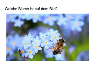 Vorschau - Arbeitsblätter - Frühblüher Materialpaket - Deckblatt