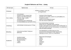 Vorschau - Arbeitsblätter - Arbeitsblatt zum Vergleich von Bakterien und Viren - Deckblatt