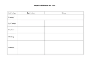 Vorschau - Arbeitsblätter - Arbeitsblatt zum Vergleich von Bakterien und Viren - Seite 1