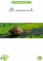 Vista previa - Hojas de trabajo - Meditaciones Guiadas de Animales | Calma, Relajación y Conexión con la Naturaleza (5-10 años) - página 2