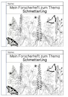 Vorschau - Arbeitsblätter - XXL - Materialpaket Schmetterlinge - Seite 1