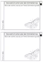 Vorschau - Arbeitsblätter - XXL - Materialpaket Schmetterlinge - Seite 3