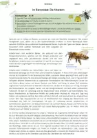 Vorschau - Arbeitsblätter - Honigbienen | Kasten im Bienenvolk | Gruppenpuzzle - Seite 2