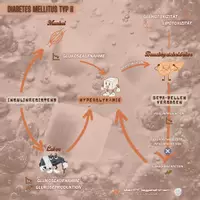 Vorschau - Poster - One Minute Wonder zum Diabetes Mellitus - Seite 3