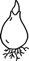 Vorschau - selbst erstellte Cliparts/Grafiken - Cliparts Wachstum der Tulpe - Seite 3