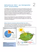 Vorschau - Unterrichtsreihen - CO2 - Grundlage und Gefahr für das Leben auf der Erde - Seite 2