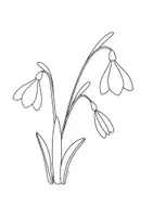 Vorschau - Mal- und Bastelvorlagen - Frühblüher - Ausmalbilder - Seite 1