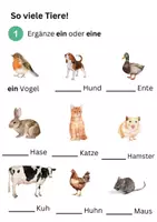 Vorschau - Arbeitsblätter - Namenwörter und ihre Begleiter/Einzahl und Mehrzahl - Seite 1