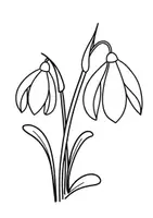 Vorschau - Arbeitsblätter - Fensterbild Schneeglöckchen, zum Ausmalen, Ausmalbild, Ausmalbilder, Kunst - Seite 1