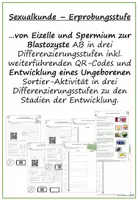 Vorschau - Arbeitsblätter - Materialpaket Sexualkunde Erprobungs- und Mittelstufe - Seite 1