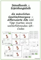 Vorschau - Arbeitsblätter - Sexualkunde Erprobungsstufe: männliche Geschlechtsorgane; differenziert - Deckblatt