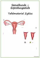 Vorschau - Präsentationen/Tafelbilder - Sexualkunde Erprobungsstufe: Tafelmaterial Zyklus - Deckblatt