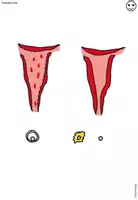 Vorschau - Präsentationen/Tafelbilder - Sexualkunde Erprobungsstufe: Tafelmaterial Zyklus - Seite 2