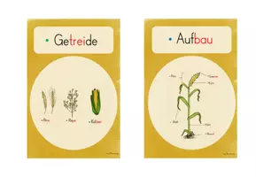 Vorschau - Unterrichtsreihen - Getreide: Materialpaket (3./4.Kl.) - Seite 1