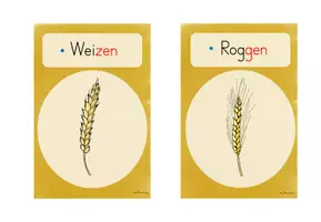 Vorschau - Unterrichtsreihen - Getreide: Materialpaket (3./4.Kl.) - Seite 2