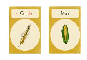Vorschau - Unterrichtsreihen - Getreide: Materialpaket (3./4.Kl.) - Seite 3