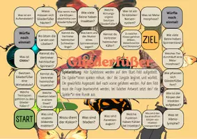 Vorschau - Spiele - Brettspiel Biologie - Thema Gliederfüßer - Seite 1