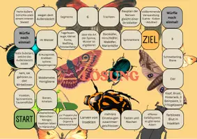 Vorschau - Spiele - Brettspiel Biologie - Thema Gliederfüßer - Seite 2