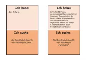 Vorschau - Spiele - Ich habe, wer hat Genetik Fachbegriffe Bio Sek II - Seite 1
