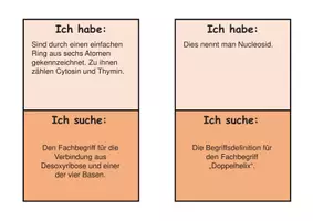 Vorschau - Spiele - Ich habe, wer hat Genetik Fachbegriffe Bio Sek II - Seite 2