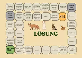 Vorschau - Spiele - Materialpaket - Spiele für den Biologieunterricht (2. Klasse) - Seite 3