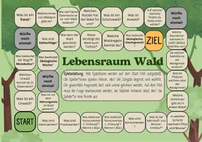 Vorschau - Spiele - Brettspiel Lebensraum Wald (Biologieunterricht) - Seite 1