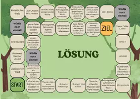 Vorschau - Spiele - Brettspiel Lebensraum Wald (Biologieunterricht) - Seite 2