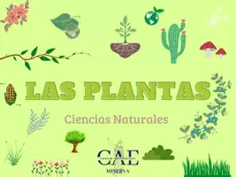 Vista previa - Unidades / Secuencias / Situaciones de Aprendizaje - Clasificación de las plantas según sus características - Portada