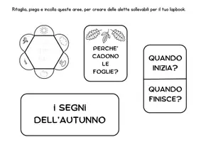 anteprima - Altro tipo di materiale - Lapbook autunno da stampare - Pagina 3