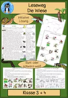 Vorschau - Spiele - Wiese Leseweg, Sachtext, Leseförderung Sachunterricht, Leseverständnis, Lesetraining, Lesekompetenz - Deckblatt