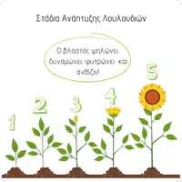Προεπισκόπηση - Φύλλα εργασίας - Τα μέρη του Λουλουδιού (Εποπτικό Υλικό &Φύλλα Εργασίας) - Σελίδα 1