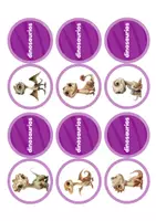 Vista previa - Hojas de trabajo - Dinosaurios memoria. Un juego para emparejar dinosaurios - página 1