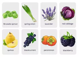 Vorschau - Bildkarten - FOOD FLASH CARDS - Lebensmittel Lernkarten Englisch - Seite 3