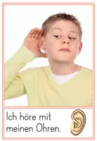 Vorschau - Präsentationen/Tafelbilder - Die fünf Sinne - Bildkarten mit Beispielen - Seite 2