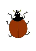 Vorschau - Mal- und Bastelvorlagen - Marienkäfer-Grafikpaket - Tafelbilder zum Thema - Seite 2