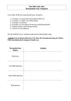 Vorschau - Arbeitsblätter - Materialpaket zum Thema „Blut“ - Deckblatt