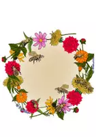 Vorschau - Poster - Themenplakat - Bienen - Seite 2