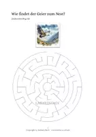 Vorschau - Arbeitsblätter - Der Geier: Tiergedicht+Labyrinth+Unterschiede+Ausmalbild - Seite 3