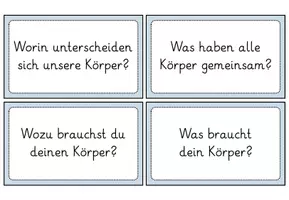 Vorschau - Bildkarten - Mein Körper - Einstieg (2./3./4. Klasse) - Seite 2