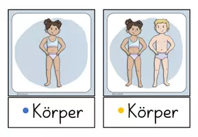 Vorschau - Fördermaterial/Inklusion - Mein Körper - Körperteile Bildwortkarten (DAZ) - Seite 2