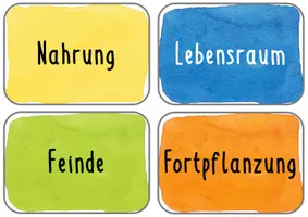 Vorschau - Arbeitsblätter - Mind-Map zu einem Tier - Material zu Oberbegriffen und Unterthemen - Seite 3