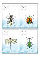 Vorschau - Spiele - Lesespaziergang Insekten - Lesen lernen - Seite 2