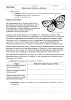 Vorschau - Unterrichtsreihen - Materialpaket - Insekten - Deckblatt