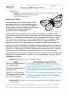 Vorschau - Arbeitsblätter - Bedrohung und Nutzen von Insekten - Seite 1