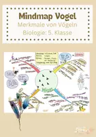 Vorschau - Merkblätter - Mindmap Vögel Merkmale Biologie 5.Klasse - Seite 1