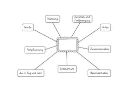 Vorschau - Arbeitsblätter - Vorlage Mind-Map zu einem Tier - Seite 3