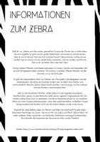 Vorschau - Arbeitsblätter - FREEBIE: Zebra Tierbeschreibung mit Information (4.Kl) - Seite 2