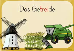 Vorschau - Poster - Getreide: Poster/Themenecke (3./4.Kl.) - Seite 3