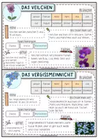 Vorschau - Unterrichtsreihen - Sparpaket Frühblüher - wachsendes Materialpaket - Seite 3