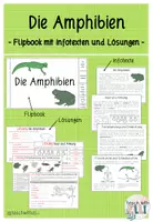 Vorschau - Arbeitsblätter - WIRBELTIERE - Materialpaket (Flipbooks) - Seite 1